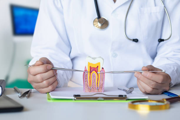 Best Cosmetic Emergency Dentistry in Skidaway Island, GA